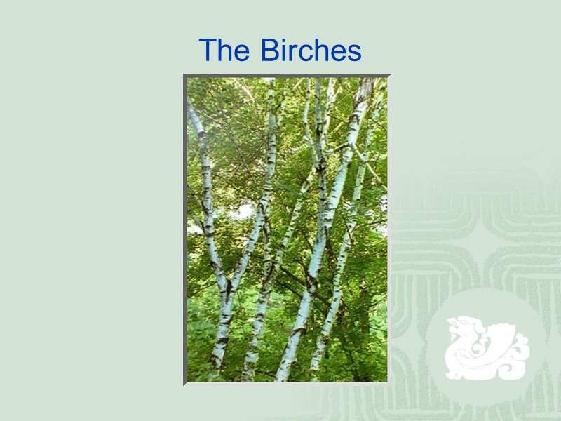 The Birches